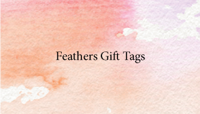 Box-Peach-FeatherTag